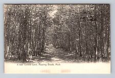 Roaring Brook MI-Michigan, Lovers Lane, Antique, Vintage Postcard picture