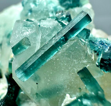 219 Gram Rare Blue Indicolite Tourmaline Crystals Bunch On Quartz Crystals @Afg picture