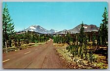 Century Drive Bend Oregon Cascade Mountain Range Street View Forest VNG Postcard picture