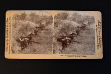 1899 Stereoscope Stereoview Photograph Print: Trenches on San Juan Hill Cuba picture