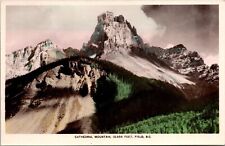 Cathedral Mountain Snow Landscape Forests UNP Vintage Postcard Field BC picture