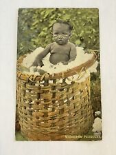 Antique Real Photo Postcard RPPC Black Baby Cotton Southern Products 1914 Humor picture
