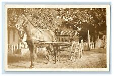 c1910's Beautiful Horse And Buggy Whip RPPC Unposted Photo Postcard picture