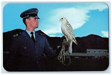 c1960's Cadet And Falcon US Air Force Academy Pike Peaks Colorado CO Postcard picture