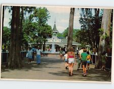 Postcard Entrance to Florida's Silver Springs USA picture