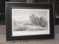 SITE OF LINCOLN'S BIRTHPLACE ORIGINAL VERY DETAILED BROWN FRAMED PRINT - 1865 picture