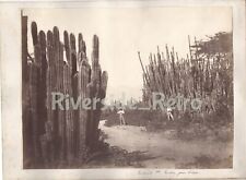 Large Albumen Photograph 1875 Sandwich Islands / Hawaii / HMS Challenger picture