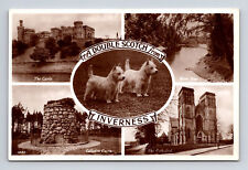 RPPC Inverness Scotland Multi-View & Scottie Dogs Postcard Inverness Postcard picture