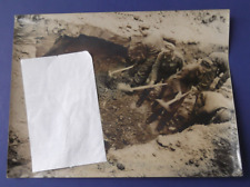 Orig. WWII Official Press 9-1/2 x 7 Photo of German POWs Uncovering Camp Victims picture