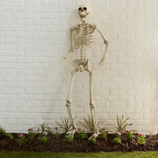 Halloween 5ft Posable Skeleton with Light-Up Eyes Decoration picture