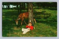 Napping Deer Hunter Boy RABER Michigan Vintage Goetzville Cancel 1956 picture
