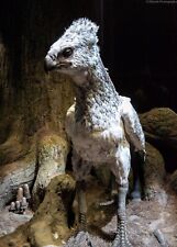 A3 Photo Print - Buckbeak the Hippogriff at WB Studio Tour, London picture