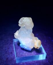 ***GREAT-Sparkling Fluorescent Calcite crystal cluster, TN mine Illinois*** picture
