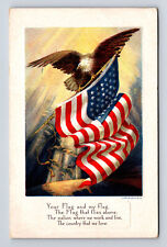 1919 E NASH PATRIOTIC Your Flag My Flag American Bald Eagle Warren PA Postcard picture
