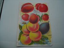 Rare 1901 Stark Bros. catalog page PLUMS vivid colors ephemera picture
