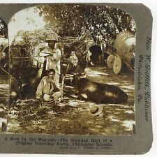 Filipino Travelers Taking Break Stereoview c1905 Philippines Oxen Farmers A2013 picture