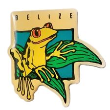 Belize Tree Frog Travel Souvenir Pin picture