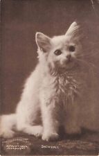 Snowball Cute White Cat Kitten A/S Bullard 1910 Postcard picture