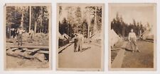 3 Logging Camp Scenes Men Tents Pet Bear Cub c 1910-1920 picture