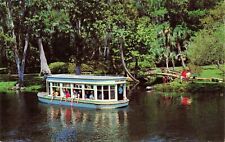 Florida's Silver Springs Glass Bottom Boat Vintage Standard Postcard Unposted picture