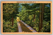 New Jersey - Greetings from Sussex, New Jersey - Vintage Postcard - Posted picture