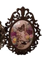 Real Taxidermy Display Of Butterflies in Convex Glass Frame picture