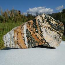 RimRock: 4.30 Lbs Polished OCEAN JASPER Faced Rough picture