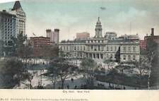 c1905 City Hall Birds Eye View People NYC New York City NY P147 picture