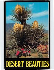 Postcard Desert Beauties picture