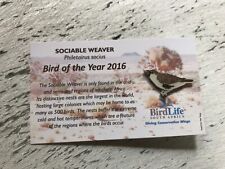 RSPB partner SOCIABLE WEAVER Enamel Pin badge Bird life South Africa picture