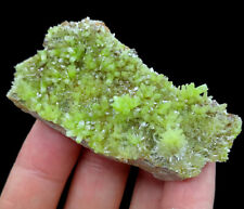58mm 38g Pyromorphite on matrix from China CMM2380864 picture