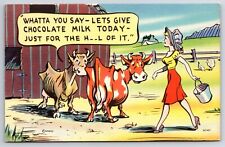 Comic Humor c1940's Cows Whatta You Say Let's Give Chocolate Milk Today Postcard picture