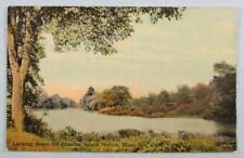 Looking Down The Charles, South Natick, MA Massachusetts Postcard (#4537) picture