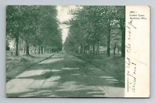 Appleton, WI-Wisconsin, Lover's Lane Roadway c1902, Vintage Souvenir Postcard picture