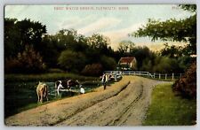 Postcard Deep Water Bridge - Plymouth Massachusetts - Cows picture
