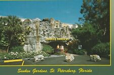 Sunken Gardens St. Petersburg FL Postcard Ships Free picture
