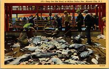 Vtg Atlantic City NJ Deep Sea Fishing Net Haul Million Dollar Pier 1940 Postcard picture