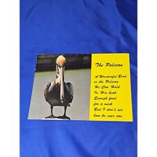 A Florida Pelican Postcard Posted 1978 picture