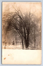 Vintage RPPC Maplewood Farm Ice Storm Damage to Trees Disaster Q5 picture