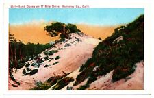 Antique Sand Dunes on 17 Mile Drive, Monterey County, CA Postcard picture