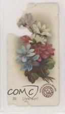 1895 Arm & Hammer Beautiful Flowers Liverwort #20 1qa picture