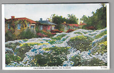 Los Angeles California Homes Among The Flowers Postcard    Unused picture