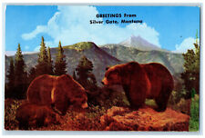 1953 Three Bears Greetings from Silver Gate Montana MT Vintage Postcard picture
