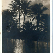 c1900s Odd Tropical Sunset RPPC Palm Trees Real Photo Postcard Spooky Weird A59 picture