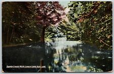 Lovers Lane, Gull Lake, Battle Creek, Michigan 1910 - Postcard picture