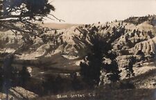 Slim Buttes National Forest South Dakota SD Buffalo 1910 Real Photo RPPC picture