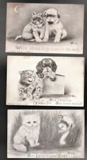 Lot of 6 V Colby Cats and Dogs Comic Divided Back Postcards Posted picture
