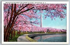 Washington D.C. - Washington Monument & Cherry Blossoms - Vintage Postcard picture