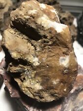 Rare Gold and silver Quartz Ore - High Grade Mineral Specimen 15 Oz Rock picture