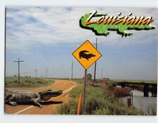 Postcard Signs (Alligator) Along Louisiana Highways USA picture